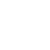 Phone_Icon